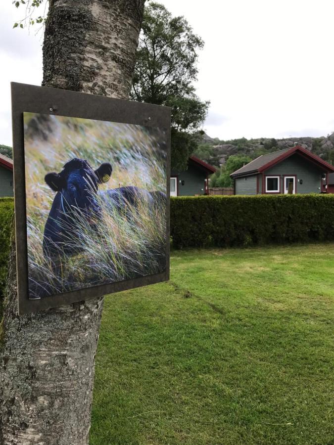 Naf Steinsnes Camping Egersund Exterior photo